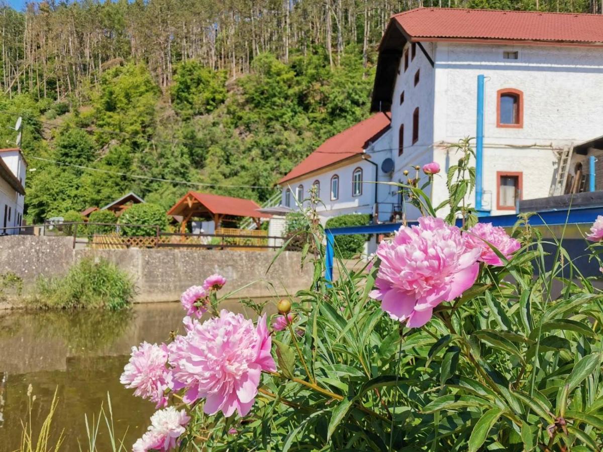 Apartament Cechuv Mlyn Hrebecniky Zewnętrze zdjęcie